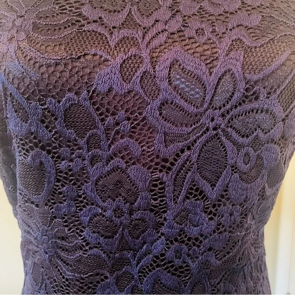 Francesca’s Blue Rain Navy Lace Mini Dress - Picture 9 of 16